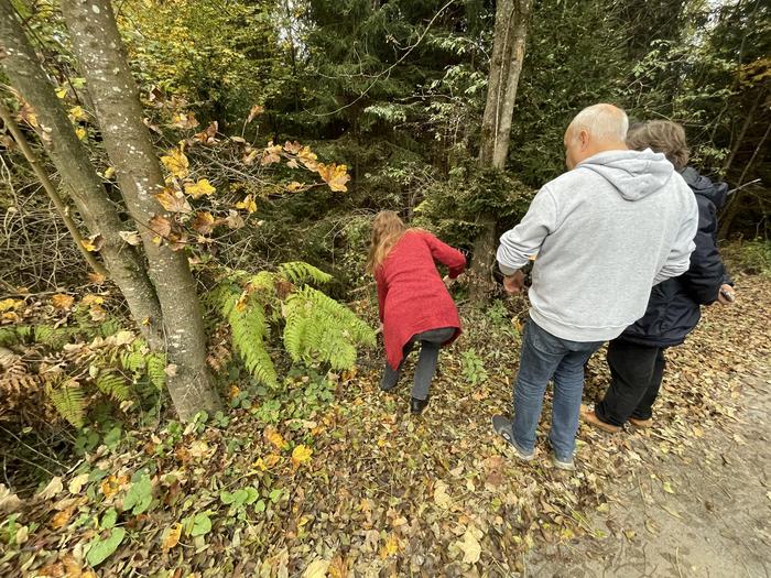 Die Rohre im Wald auf Keutschacher Seite rinnen