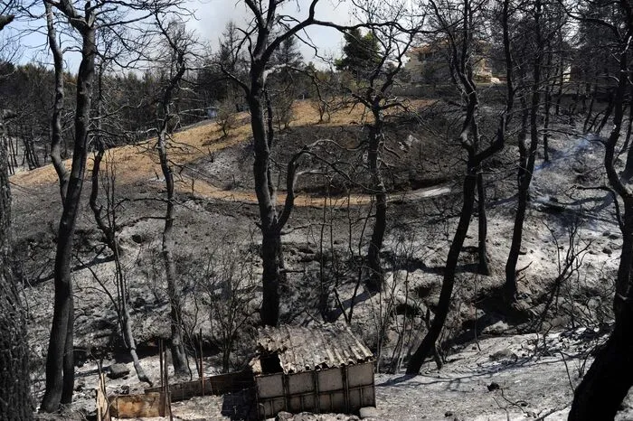 Waldbrände waren am Wochenende auch im Westen Griechenlands ausgebrochen. Betroffen waren vor allem Inseln im Ionischen Meer, Zakynthos und Kefalonia. Diese Brände wurden am Montag zum Teil unter Kontrolle gebracht.