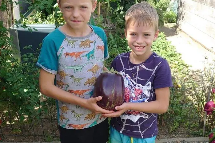 Julian und Oliver haben eine 1,04 Kilogramm schwere Melanzani geerntet
