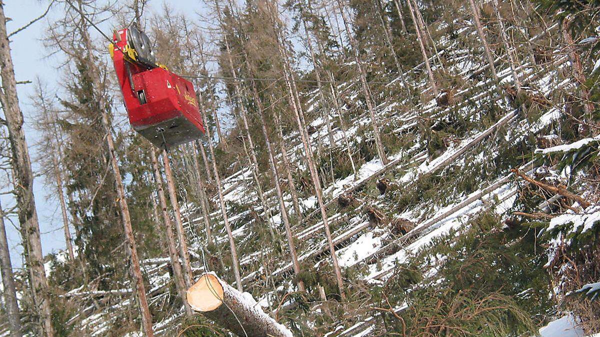 Bei der Aufarbeitung von Windwürfen kommen Baumstämme oder Wurzelballen ins Rutschen