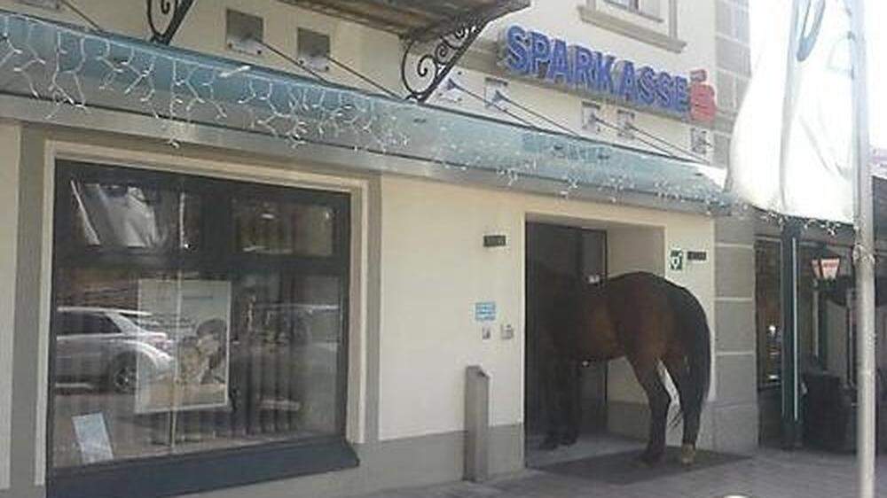 Pferd machte einen Abstecher in die Sparkasse in Winklern