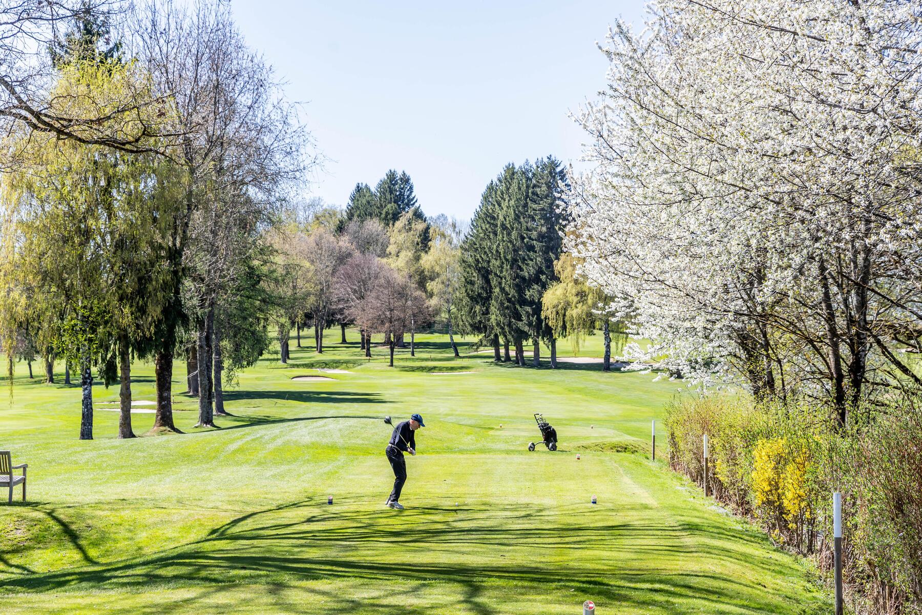 99 Jahre alter Golfclub am Wörthersee zieht Promis und den Adel an