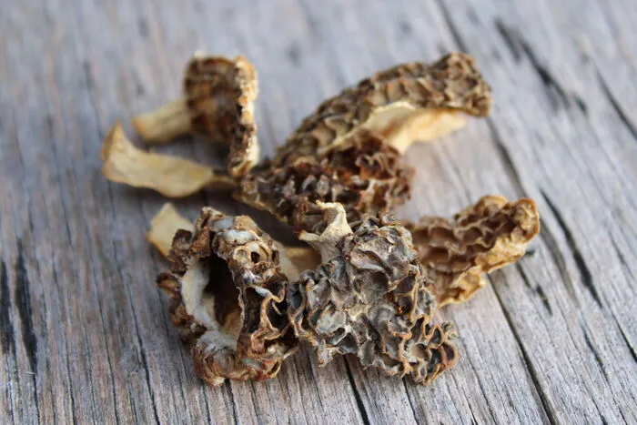 Getrocknete Morcheln: Der Schlauchpilz wächst im Frühjahr. Morcheln eignen sich besonders gut zum Füllen, da sie innen hohl sind. Sie können z. B. mit Kalbsfaschiertem oder mit Käse zubereitet werden.