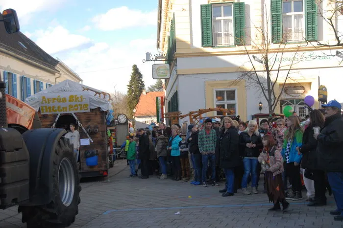 Insgesamt elf Wagen nahmen am heurigen Faschingsumzug in Gleisdorf teil.