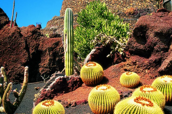 Lanzarote