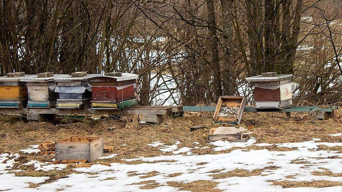 Die Bienenstöcke wurden zerstört