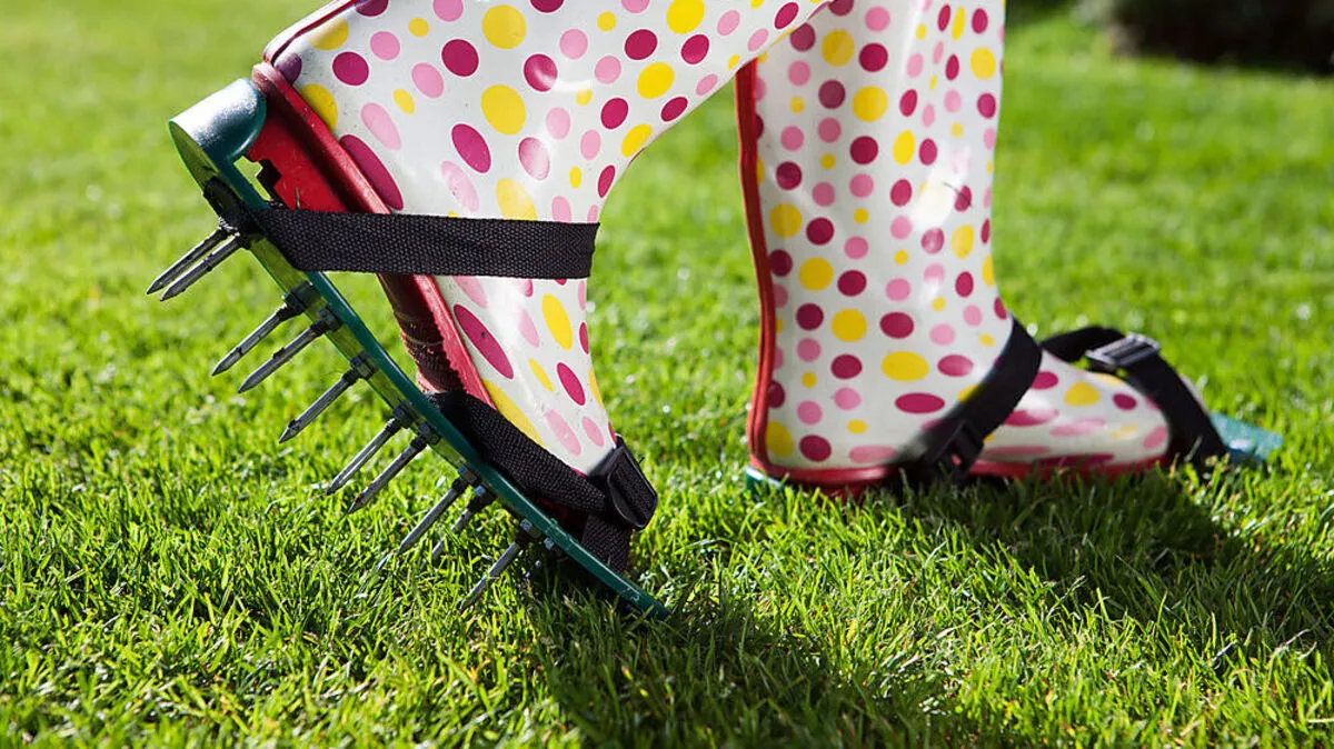 Einfach zum gut durchlüfteten Rasen: Aerifizieren mittels spezieller Belüfterschuhe