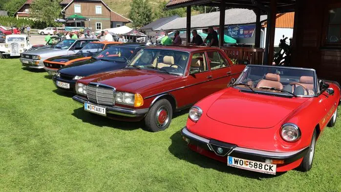 Über 200 Legenden auf Rädern waren beim 20. Oldtimertreffen in Kliening zu bewundern. Klicken Sie sich durch die Bilder!