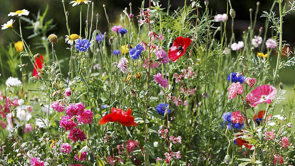 Das Paradies im eigenen Garten