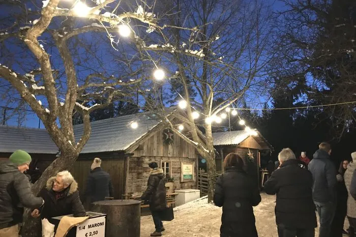 Manche schlenderten durch den Markt und fanden das ein oder andere handgemachte Weihnachtsgeschenk, die anderen ließen sich mit Glühwein, Punsch oder frischen Waffeln kulinarisch verwöhnen.