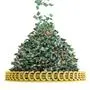 geldregen, sujet geldscheine; geld; finanzen; reichtum; cash; einnahme; ertrag; profit; euro; money; economy; wirtschaft; banken; bankwesen; budget; business; euronoten; euroschein; finanzwirtschaft; geldberg; geldstapel; banknoten; geldsegen; geldregen; whrung; berflu; krsus; reich; buchstabe; buchstaben; millionen; million; hauptgewinn; gewinn,sujet
