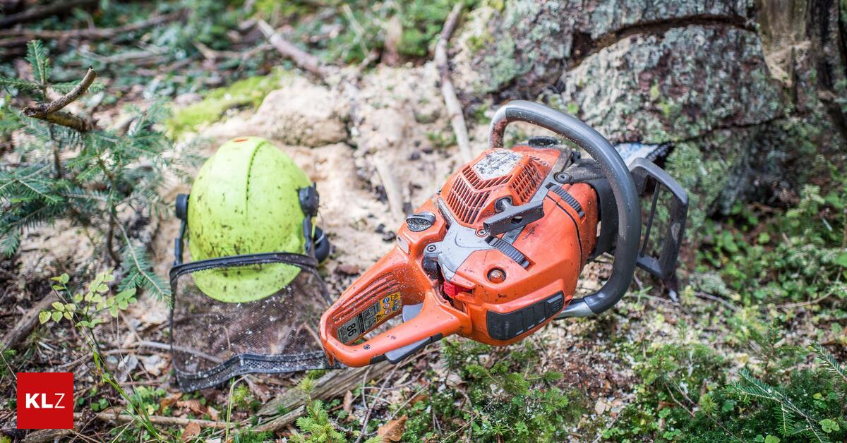 Tragischer-Forstunfall-Steirerin-fand-ihren-toten-Nachbarn