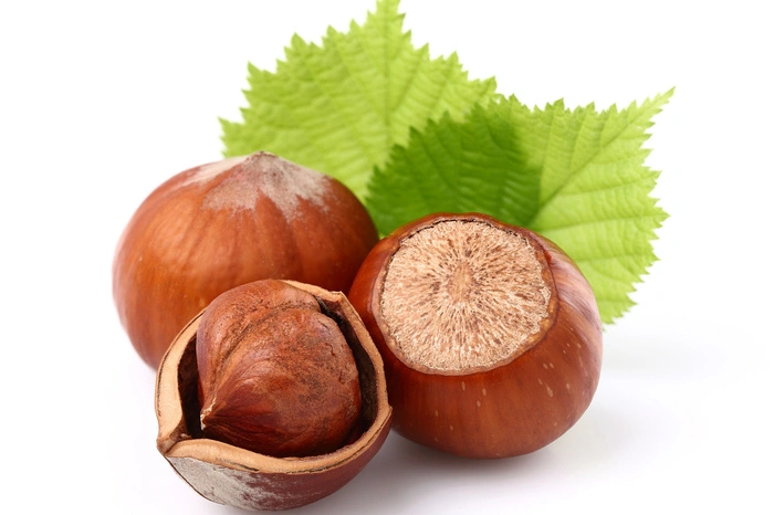 Haselnüsse werden auch als Getreide der Steinzeit bezeichnet, da sie Grundnahrungsmittel waren. Mit 62 g Fett pro 100 g zählt diese Nuss zu den fettesten ihrer Art - doch es sind die gesunden ungesättigten Fettsäuren. Haselnüsse sind nicht nur Backwerk: Sie können auch Pestos oder Salate aufpeppen.