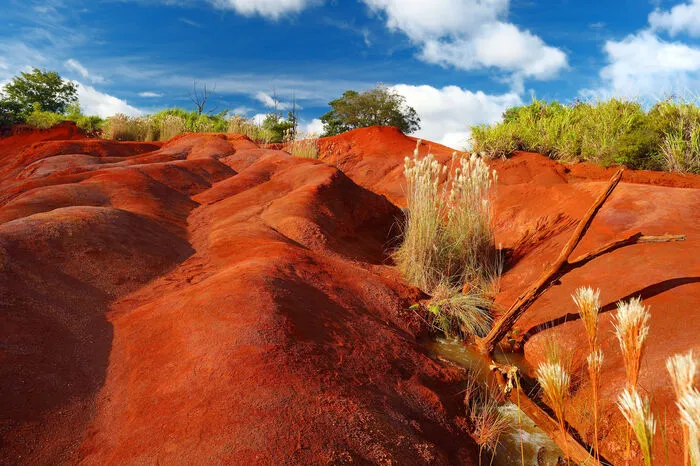 Wer Kaua’i wieder verlässt, ohne einen Blick auf den Waimea Canyon geworfen zu haben, hat was verpasst. Rote Erde, grüner Bewuchs, Wasserfälle und faszinierende Steinformationen machen sprachlos.