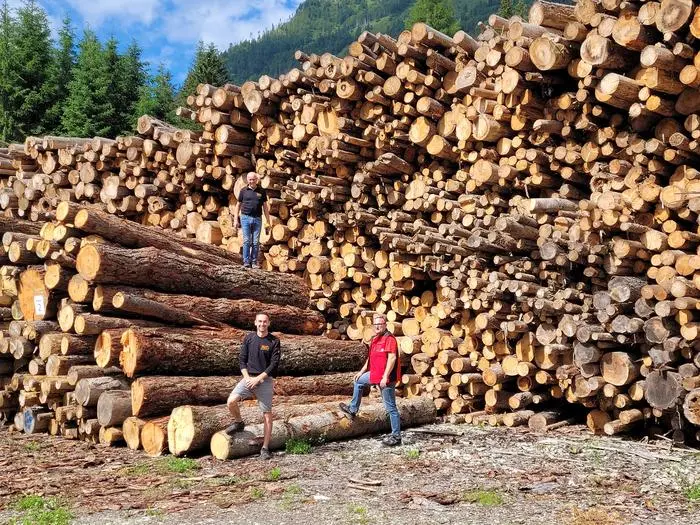 Die Regionalenergie erzeugt Wärme aus heimischem Holz