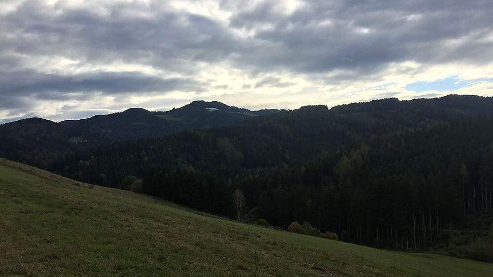 Im Bereich Pfaffenberg soll die Fotovoltaikanlage entstehen