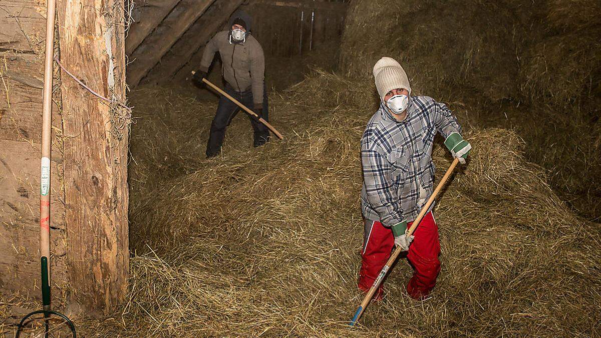 Das Heu wurde nach Bekanntwerden des Skandals gesammelt