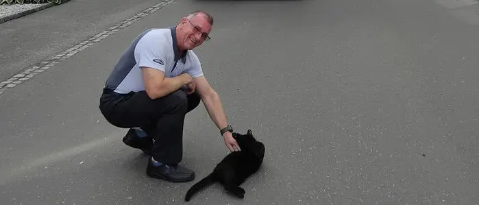 Der Busfahrer der Linie 820 stoppte, um die Katze sicher an den Fahrbahnrand zu bringen