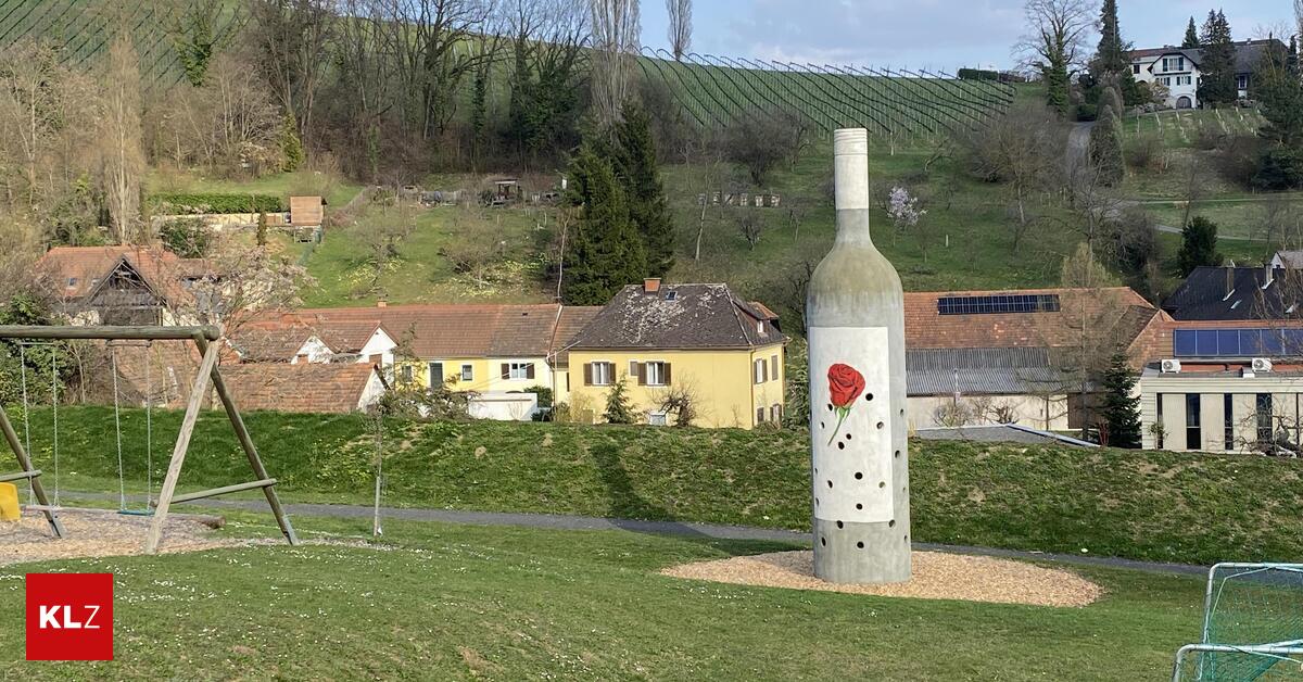 Amerikanische-Rebzikade-gef-hrdet-Weinbau-In-Kl-ch-brennt-der-Hut-