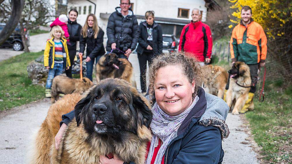 Cordelia Oprießnig züchtet seit 20 Jahren Hunde der Rasse Leonberger