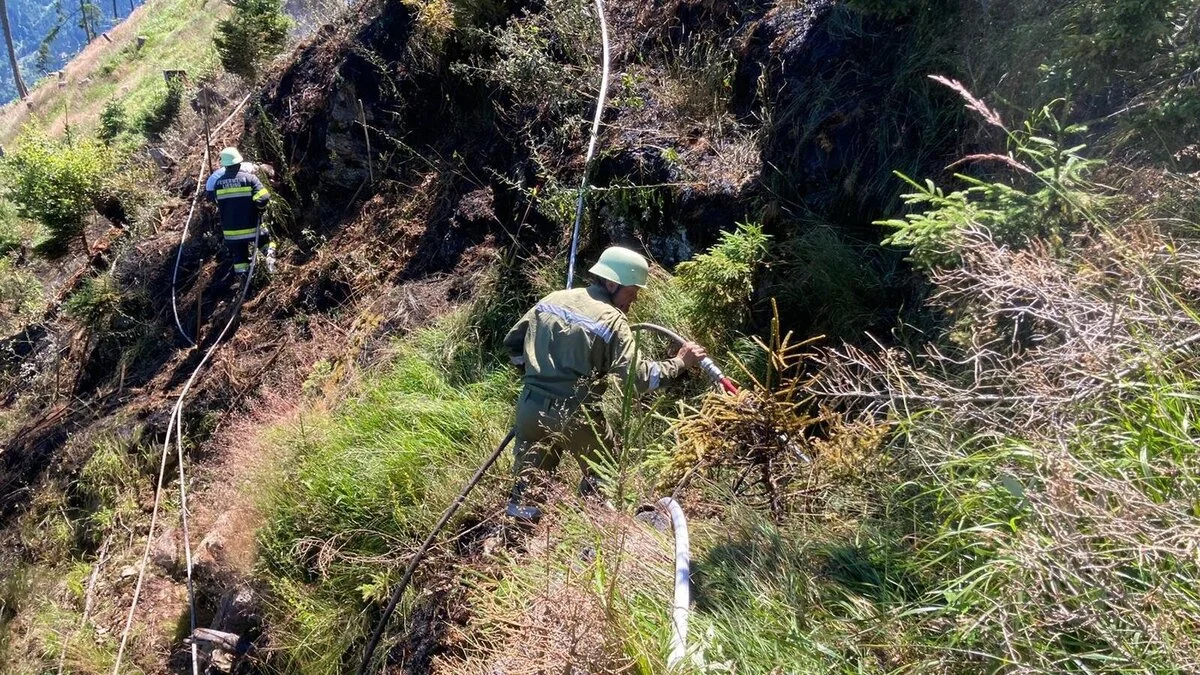 Im Juli löschten 76 Einsatzkräfte zahlreicher Feuerwehren einen Waldbrand auf der Lesachtaler Rautalm. Im steilen Gelände wurden sie vom Polizeihubschrauber Libelle unterstützt