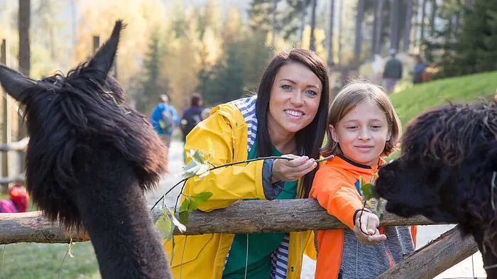 Wilder Berg. Ein Erlebnis toppt das nächste: Mit dem Sessellift geht’s auf den Wilden Berg und mitten hinein in den Wildpark. Schon auf der Fahrt über die Gehege lassen sich die ersten Tiere blicken. Hier gibt es mehr als 270 Alpentiere zu bestaunen.