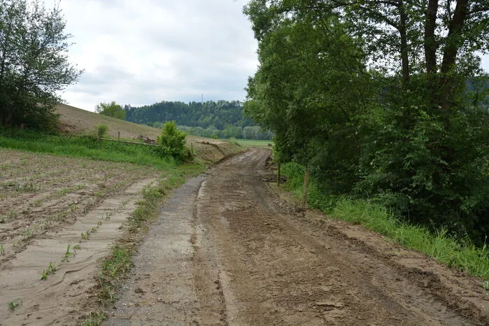 Bilder von der Franzenkogel-Gemeindestraße.