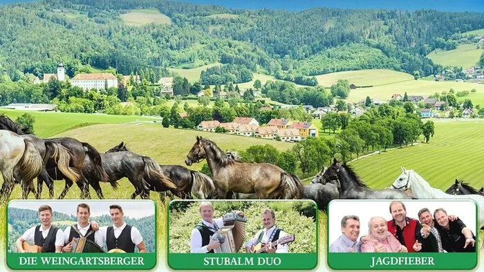 die CD "Weststeirische Musi Schmankerl" wurde von Markus Kern heraus gegeben. Darauf zu finden sind Stücke von zehn verschiedenen Musikgruppen. Erhältlich ist der Tonträger zum Beispiel unter www.weltbild.at.
