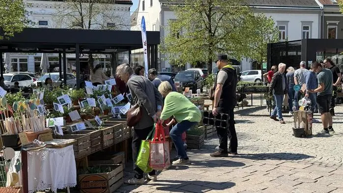 Am Samstag verwandelte sich der Fürstenfelder Hauptplatz in ein blühendes Paradies für eine Vielzahl an Pflanzenliebhaber und Naturbegeisterten.