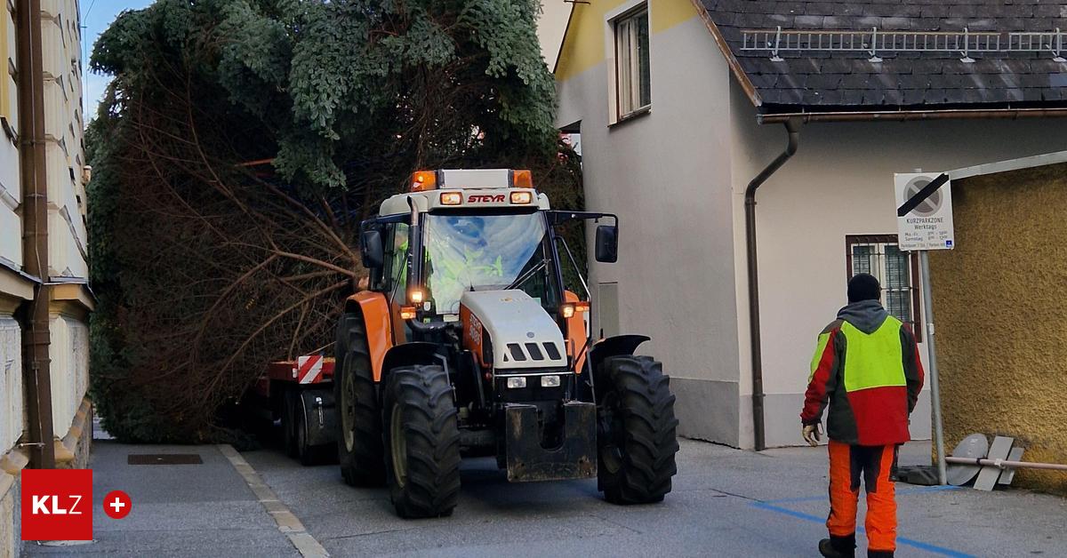 Spektakul-rer-Transport-Christbaum-durch-enge-Gassen-man-vriert