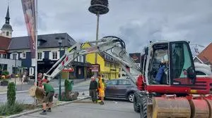Gemeindemitarbeiter und örtliche Firmen packten gemeinsam an, um das Storchennest im belebten Ortszentrum zu sichern