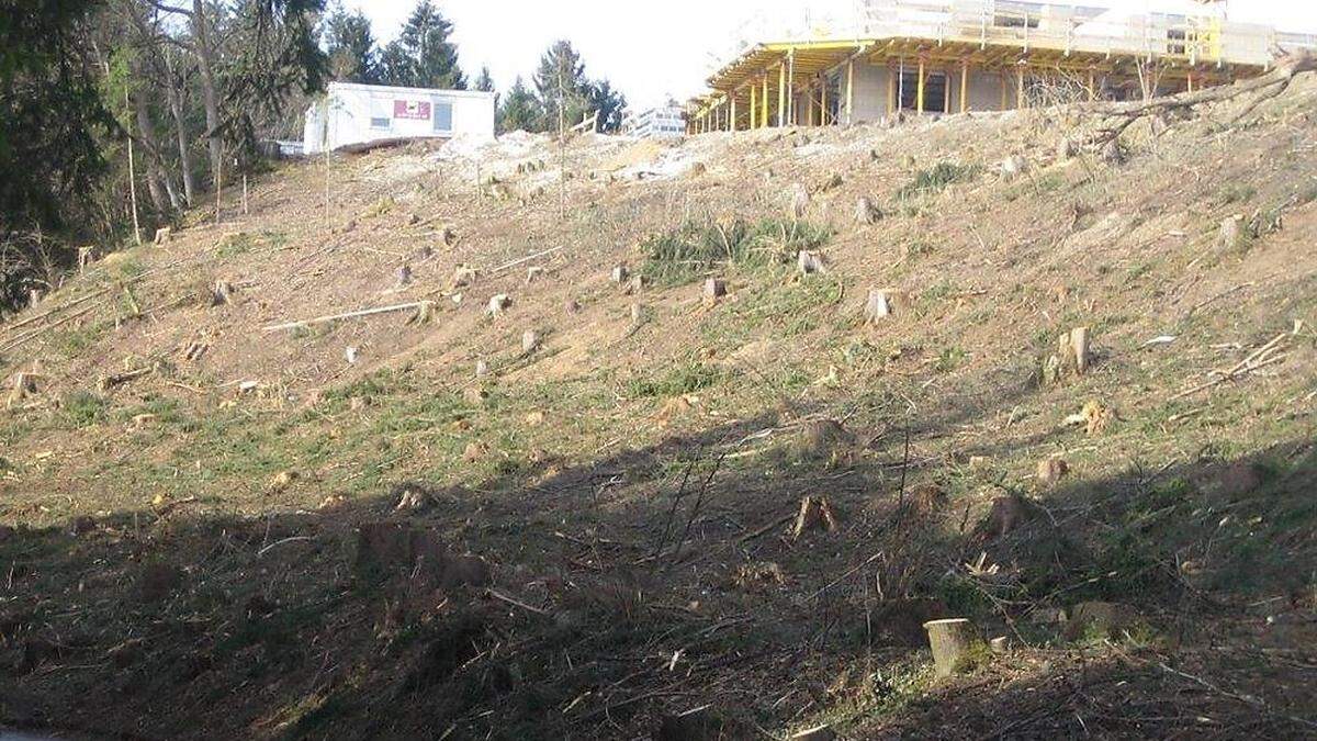 In Warmbad wurden nahe der neuen Wohnanlage die Bäume gefällt