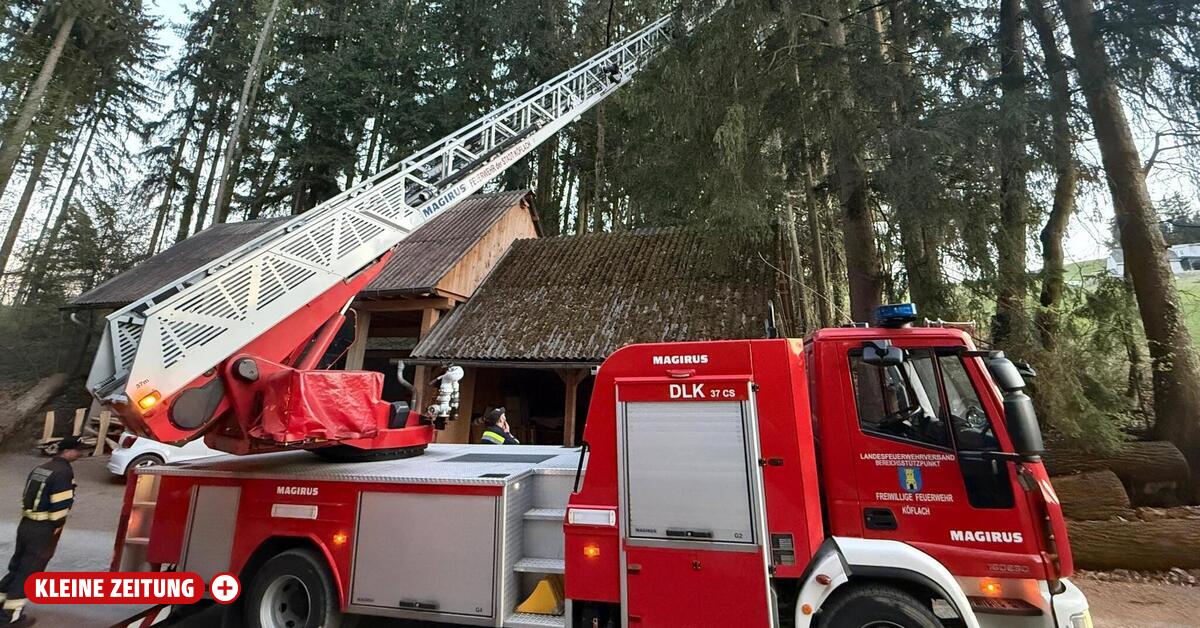 Firefighters rescue a kitten from a height of 20 meters