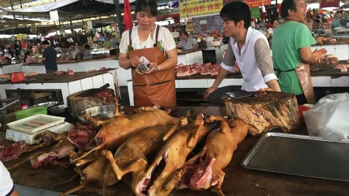 Jedes Jahr aufs Neue findet zur Sommersonnenwende in Yulin ein sogenanntes Hundefleisch-Festival statt...