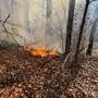 Der Waldbrand konnte relativ schnell unter Kontrolle gebracht werden