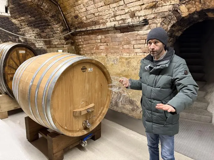 Stephan Mehofer im eigenen Weinkeller.