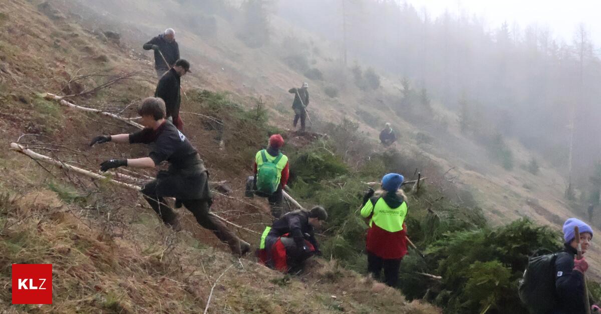 Schwendtag-auf-Hohenauer-Ochsenhalt-Sie-halfen-mit-erhobenen-Mistgabeln-der-Umwelt