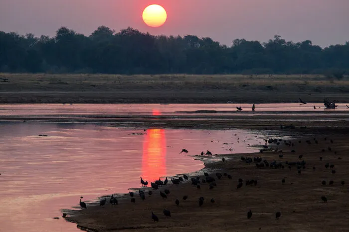 ... der schlauen Leopardin auf leisen Pfoten. Eine natürliche Grenze ihres Reviers bilden die Ufer des Luangwa, eines Nebenflusses des Sambesi.