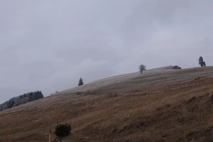 Rechtzeitig zu Winterbeginn wird im Teichalm-Sommeralmgebiet schon einmal die weiße Unterlage geschaffen ...