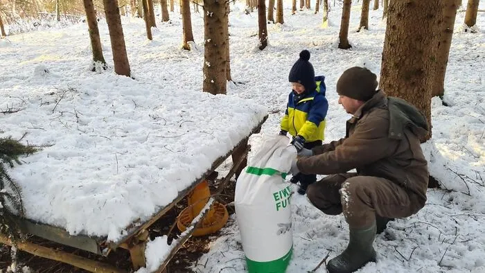 Am Skarbin in Grafenstein wird das Wild mit Futter versorgt