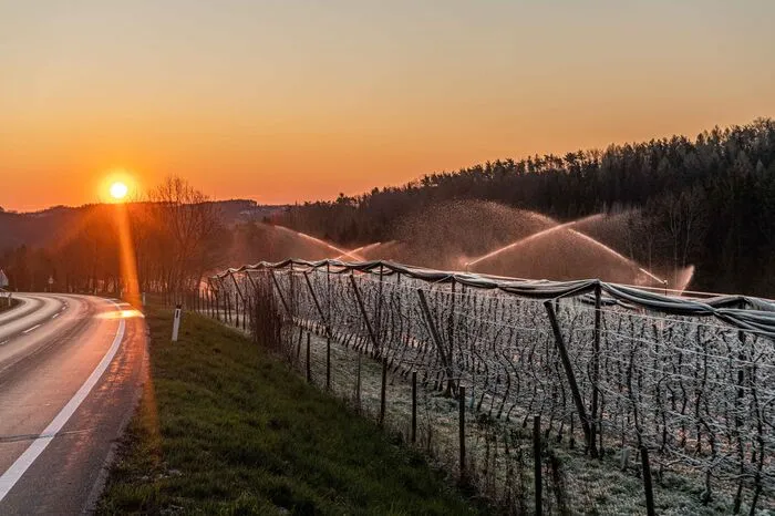 Auch Frostberegnung, wie hier zwischen Gleisdorf und Pischelsdorf, kann wegen des Windes nur begrenzt eingesetzt werden.