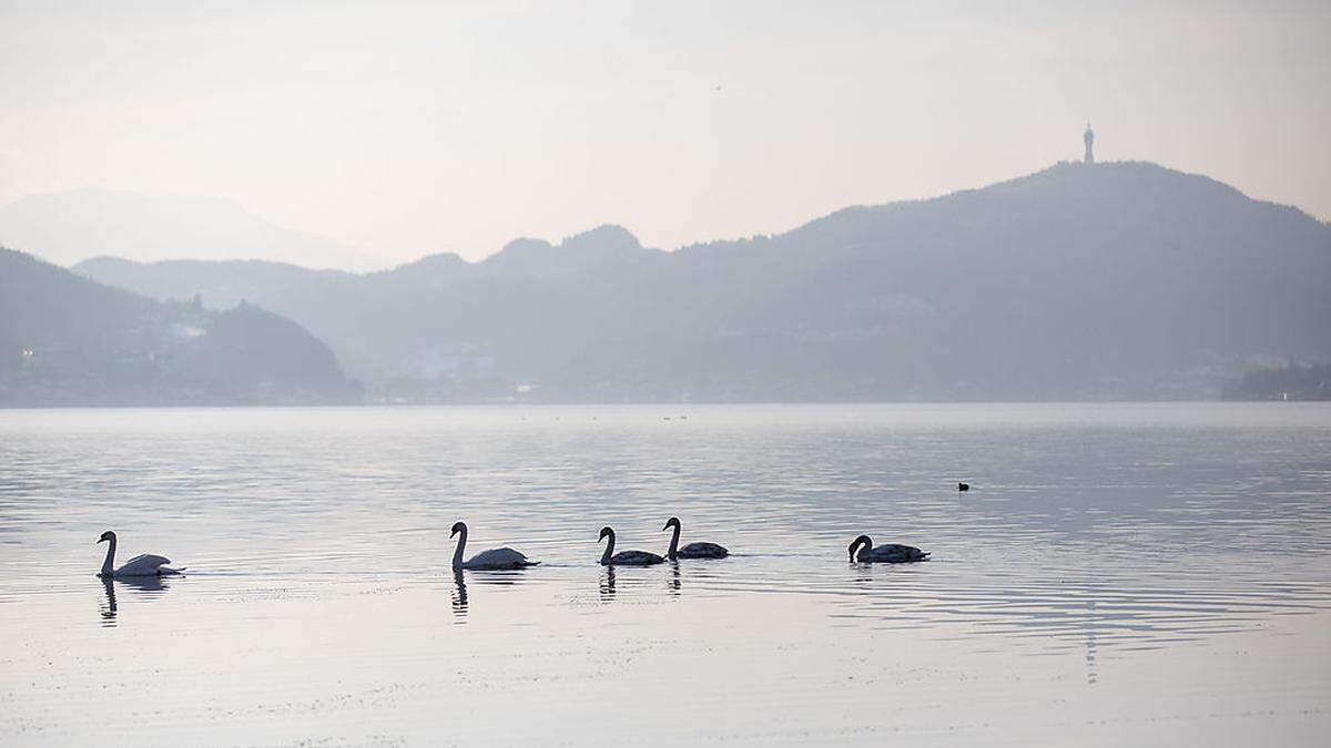 Der Wörthersee mit Blick auf den Pyramidenkogel