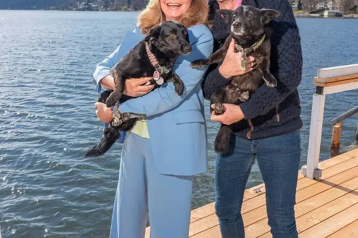 Maren Gilzer und Harry Kuhlmann kamen an den Wörthersee