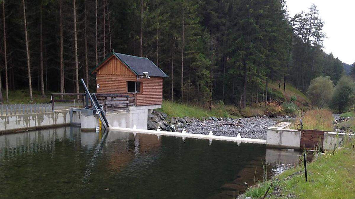 So stellen sich die Projektbetreiber den Ausleitungsbereich des Kraftwerkes an der Schwarzen Lafnitz vor