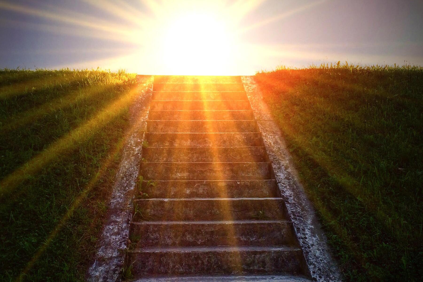 Leitartikel: Wie die Kraft der Sonne für Energie und Wachstum sorgt