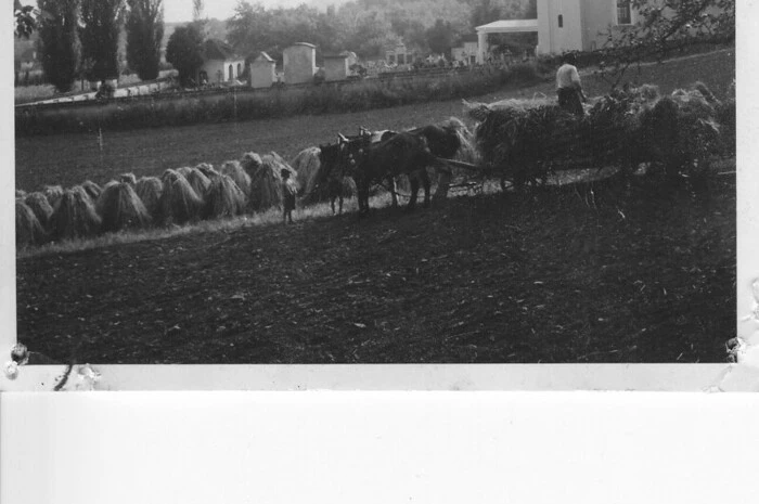 Die Friedhofskapelle Griffen mit Friedhof und dem damaligen Totenkammerl im Südwesten des Friedhofs (1950er Jahre)