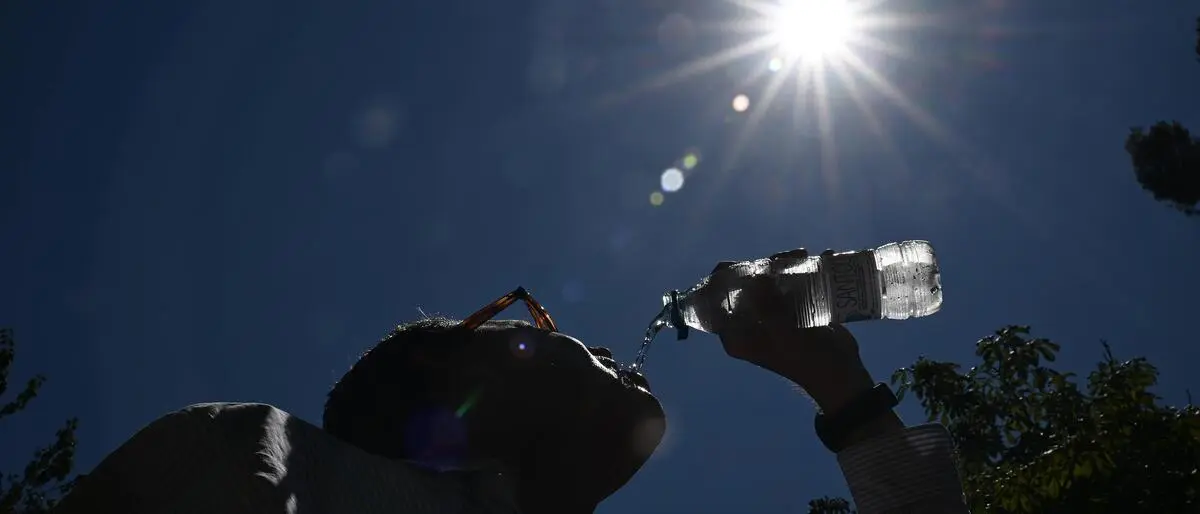 In der Hitze kann Wassermangel besonders gefährlich werden