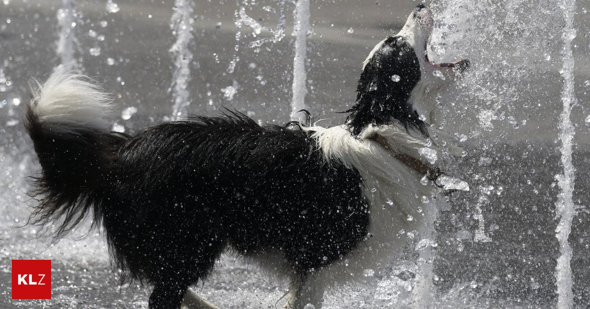 Unsere Sommertipps für Graz: Für heiße Tage: Das sind die kühlsten Orte ...
