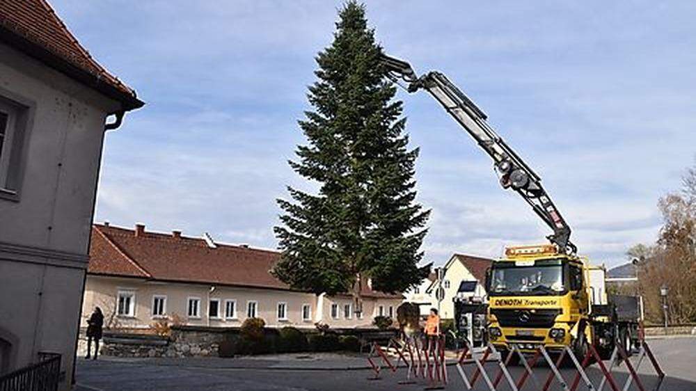 Seit dem Wochenende steht der Christbaum vor dem Rathaus Wolfsberg