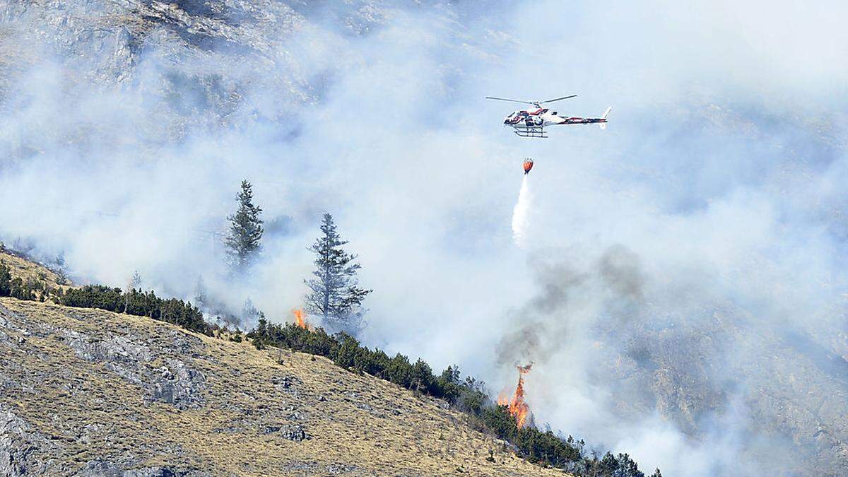 Themenbild Waldbrand